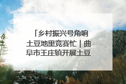 乡村振兴号角响 土豆地里竞赛忙｜曲阜市王庄镇开展土豆收获劳动竞赛